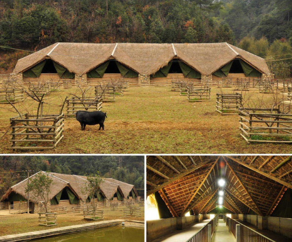 Kiến trúc & du lịch nông nghiệp: Vệ tinh xanh cho các thành phố